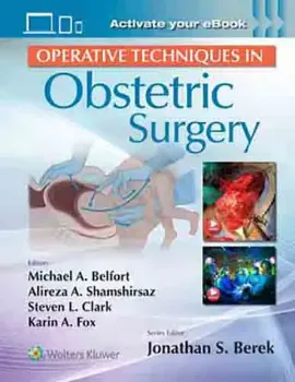 Imagem de Operative Techniques in Obstetric Surgery