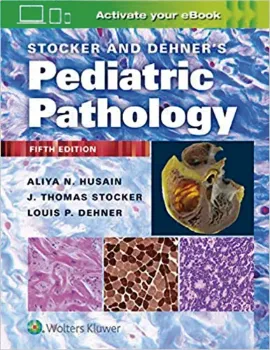 Imagem de Stocker and Dehner's Pediatric Pathology