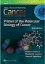 Imagem de Cancer: Principles and Practice of Oncology Primer of Molecular Biology in Cancer