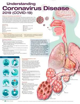 Imagem de Understanding Coronavirus Disease 2019 (COVID-19)