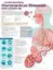 Imagem de Understanding Coronavirus Disease 2019 (COVID-19)
