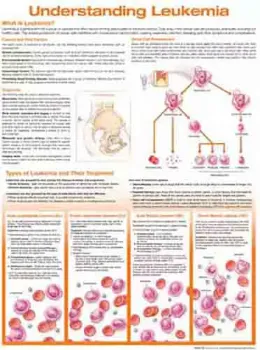 Picture of Book Understanding Leukemia Anatomical Chart