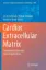 Imagem de Cardiac Extracellular Matrix: Fundamental Science to Clinical Application