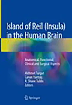 Picture of Book Island of Reil (Insula) in the Human Brain: Anatomical, Functional, Clinical and Surgical Aspects