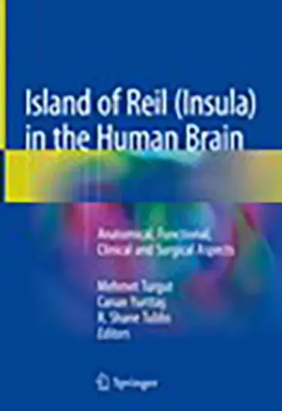 Imagem de Island of Reil (Insula) in the Human Brain: Anatomical, Functional, Clinical and Surgical Aspects