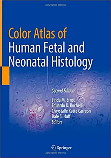 Imagem de Color Atlas of Human Fetal and Neonatal Histology