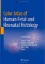 Imagem de Color Atlas of Human Fetal and Neonatal Histology