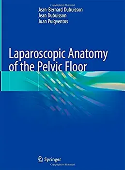 Imagem de Laparoscopic Anatomy of the Pelvic Floor