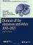 Imagem de Diseases of the Abdomen and Pelvis 2018-2021: Diagnostic Imaging - IDKD Book