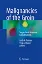 Imagem de Malignancies of the Groin: Surgical and Anatomic Considerations