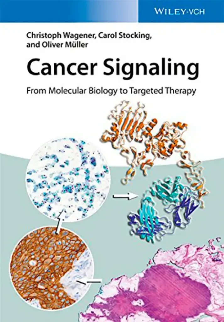 Imagem de Cancer Signaling: From Molecular Biology to Targeted Therapy