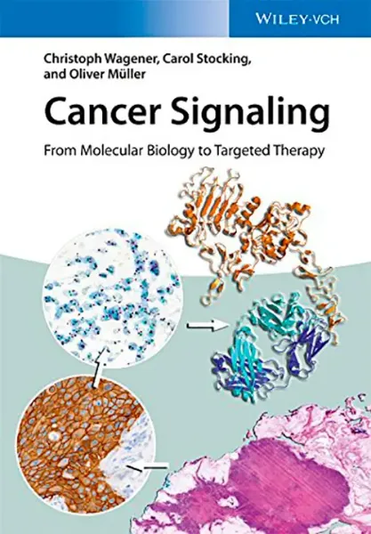 Imagem de Cancer Signaling: From Molecular Biology to Targeted Therapy