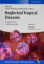 Imagem de Neglected Tropical Diseases: Drug Discovery and Development