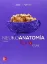 Picture of Book Neuroanatomia Textos y Atlas