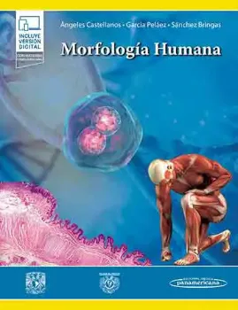 Imagem de Morfología Humana