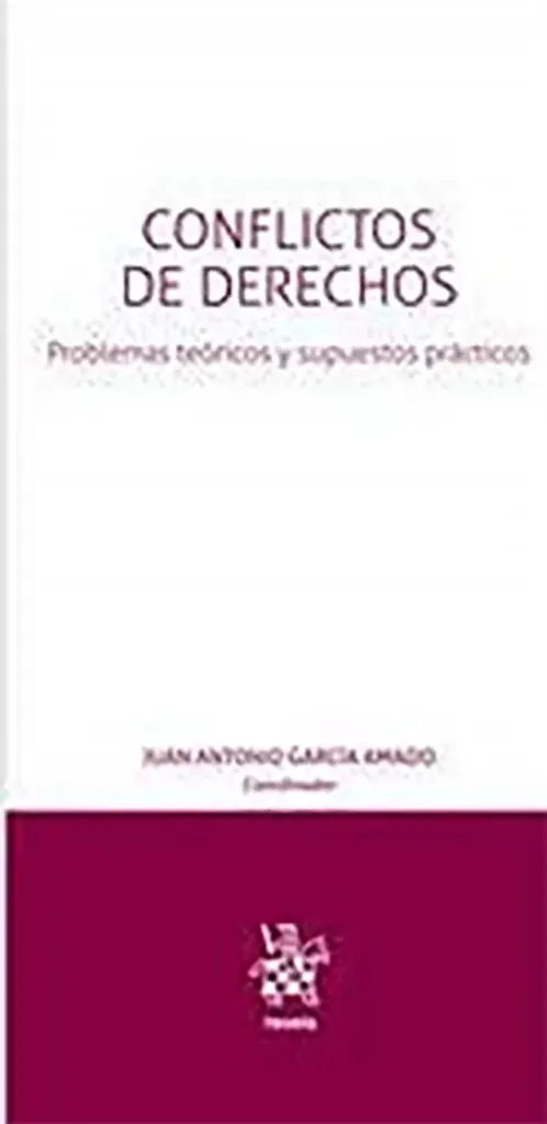 Imagem de Conflictos de Derechos - Problemas Teóricos y Supuestos Práticos