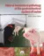 Imagem de Atlas of Anatomical Pathology of the Gastrointestinal System of Swine