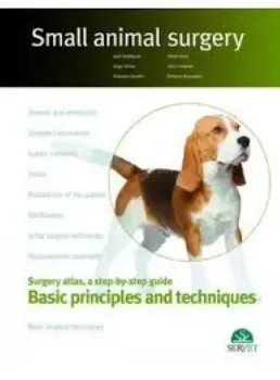 Picture of Book Basic Principles and Techniques (Inclui Ebook)