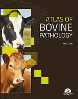 Picture of Book Atlas of Bovine Pathology
