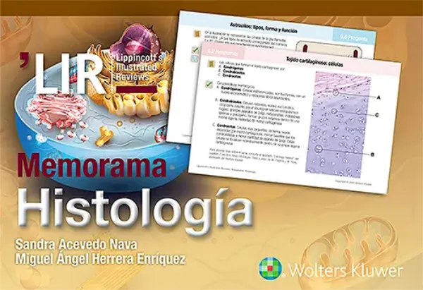 Imagem de Memorama - Histología
