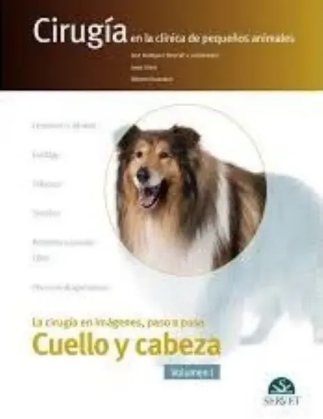Imagem de La Cirugía en Imágenes Paso a Paso: Cuello y Cabeza