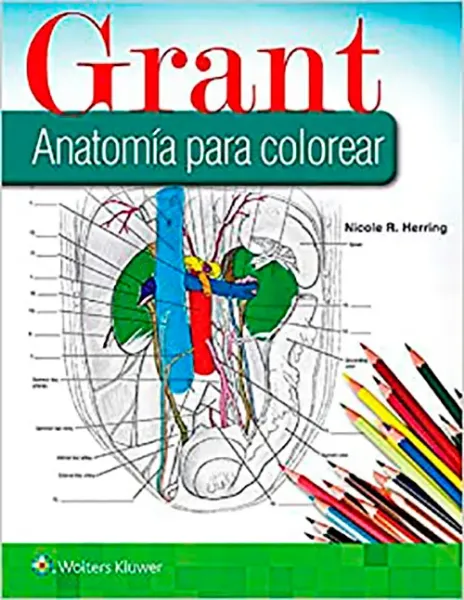 Imagem de Grant - Anatomía para Colorear