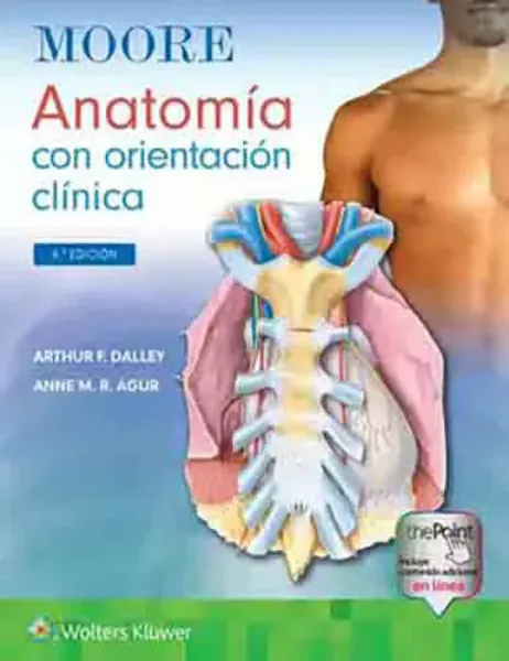 Imagem de Moore. Anatomía con Orientación Clínica