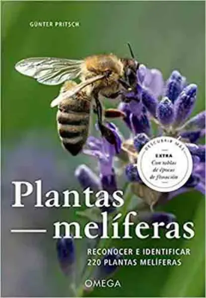 Imagem de Plantas Melíferas