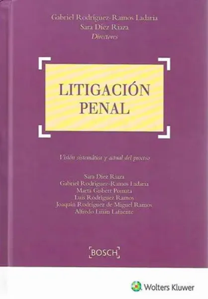 Imagem de Litigación Penal