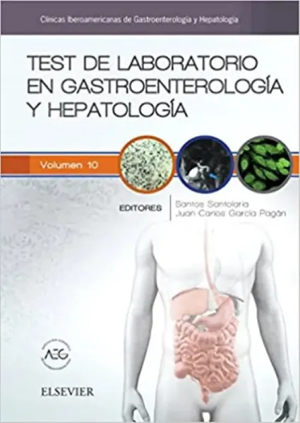 Imagem de Test de Laboratorio en Gastroenterología y Hepatología: Clínicas Iberoamericanas de Gastroenterología y Hepatología Vol. 10