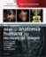 Imagem de Weir y Abrahams - Atlas de Anatomía Humana por Técnicas de Imagen