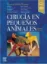 Picture of Book Cirugía en Pequeños Animales