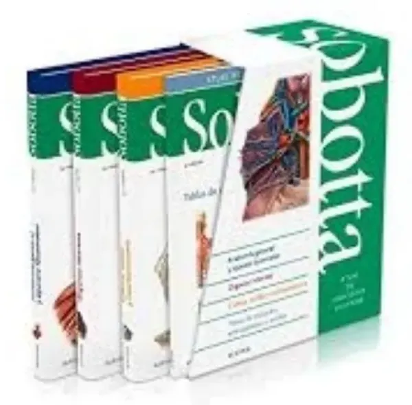 Imagem de Sobotta Atlas de Anatomía Humana (Espanhol)