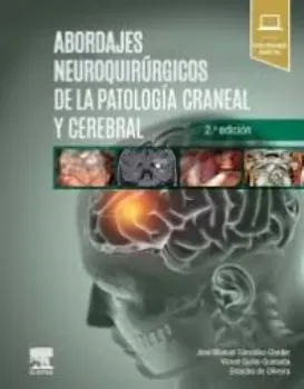 Picture of Book Abordajes Neuroquirúrgicos de la Patología Craneal y Cerebral