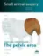 Imagem de Small Animal Surgery: The Pelvic Area