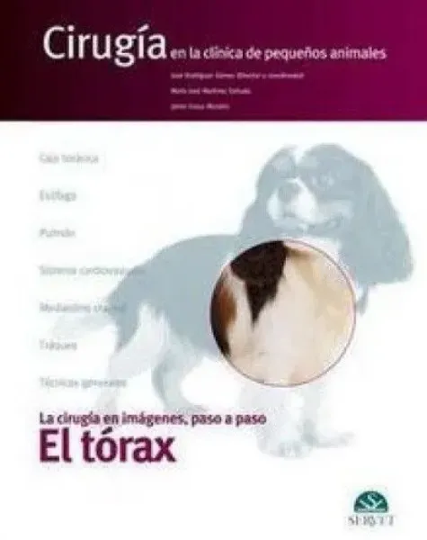 Imagem de Cirugía Imagenes Paso Paso Torax