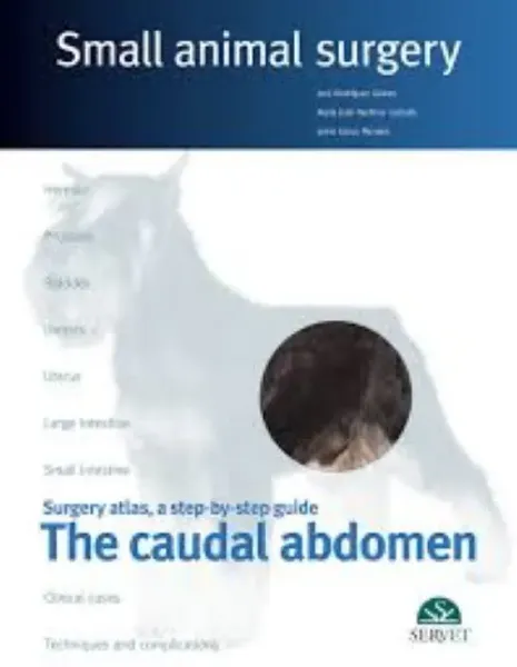 Imagem de Small Animal Surgery: The Caudal Abdomen