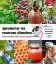 Picture of Book Aprovechar los Recursos Silvestres: Bosque Frutal, Injertar, Verduras Silvestres, Apicultura y Cocina Solar