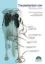 Picture of Book The Peripartum Cow: Practical Notes