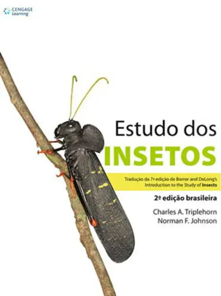 Imagem de Estudo dos Insetos
