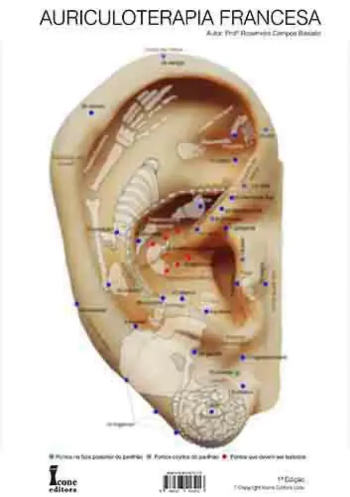 Imagem de Mapa Auriculoterapia Francesa