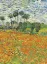 Picture of Book Biologia Vegetal