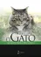 Picture of Book O Gato em Medicina Interna