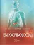 Picture of Book Essencial em Endocrinologia
