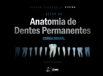 Imagem de Atlas de Anatomia de Dentes Permanentes - Coroa Dental