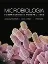 Picture of Book Microbiologia Fundamentos e Perspectivas