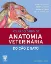 Picture of Book Atlas Colorido de Anatomia Veterinária do Cão e Gato