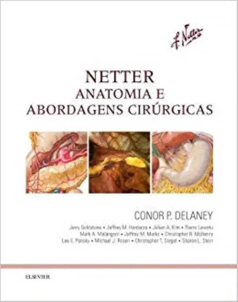 Imagem de NETTER Anatomia Abordagens Cirurgicas