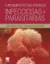 Imagem de Fundamentos das Doenças Infecciosas e Parasitárias
