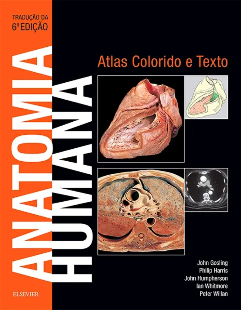 Imagem de Anatomia Humana